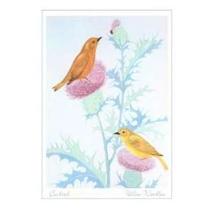  Cowbird and Yellow Warbler, Illustration Premium Poster 