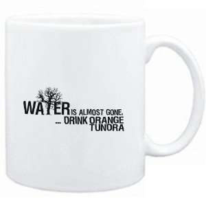  Mug White  Water is almost gone  drink Orange Tundra 
