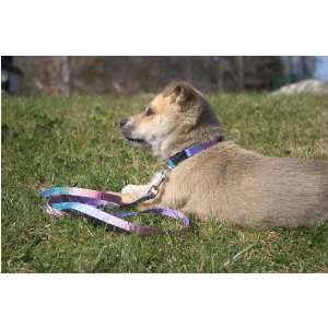 Lupine Small Dog Harness   Cotton Candy (Step In) 10 13 