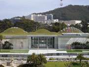   ROOFTHE NEW CALIFORNIA ACADEMY OF SCIENCES (DVD) 400004781125  