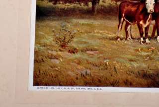 ATKINSON FOX The Herefords #2 Vintage Cow Print  