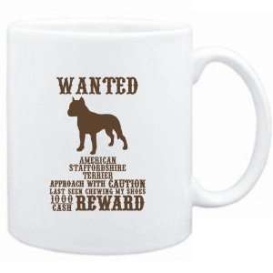    Wanted American Staffordshire Terrier   $1000 Cash Reward  Dogs