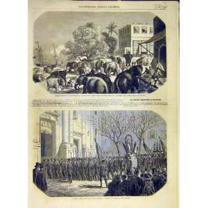  1858 Elephants Calcutta Indian Army Toulon French Print 