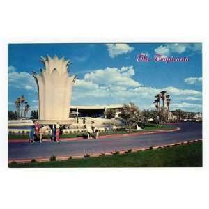 The Tropicana Hotel Postcard Las Vegas Nevada 1950s Ferris Scott FS 