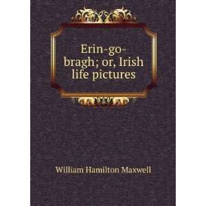  Erin go bragh; or, Irish life pictures William Hamilton 