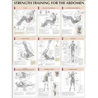  Strength Training Anatomy Strength Training for the 