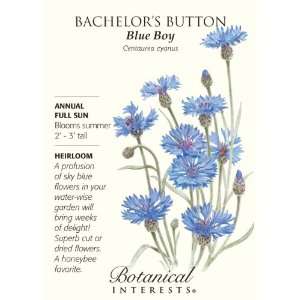  Bachelor Button Blue Boy Patio, Lawn & Garden