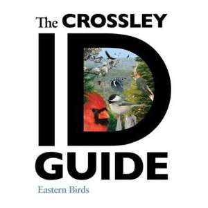   Id Guide Eastern First Real Life Approach Bird Popular