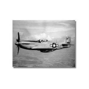   51 Mustang 9x12 Unframed Photo by Replay Photos