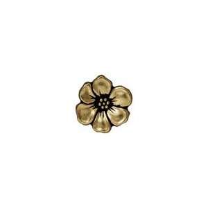 TierraCast Antique Brass (plated) Apple Blossom Button 14mm Findings 