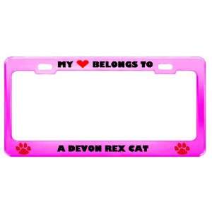 Devon Rex Cat Pet Pink Metal License Plate Frame Tag Holder