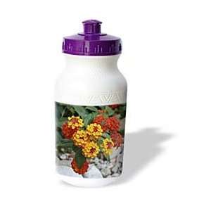 Taiche Photography   Flowers Lantana Red and Orange   Water Bottles 