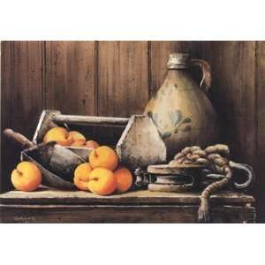  Apricots Abound   Poster by John Rossini (20x14)