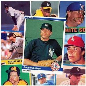   Brands New York Yankees Rich Goose Gossage 20 Cards