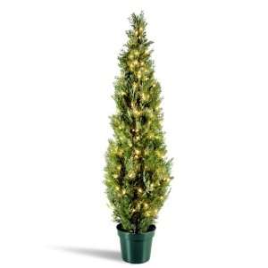  National Tree Arborvitae Tree with 50 Clear Lights and 