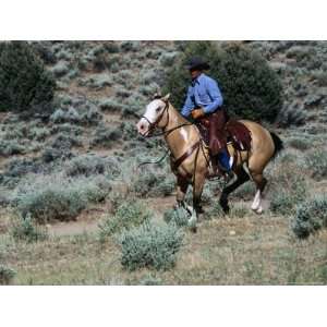 Cowboy Riding Horse in the Back Country at Reno, Reno, Nevada, USA 