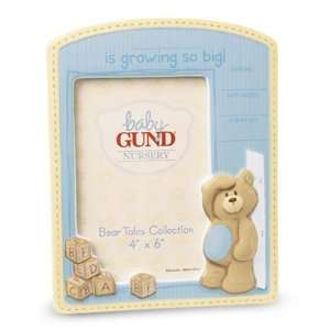  Gund Bear Tales So Big Frame   Blue Toys & Games