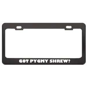 Got Pygmy Shrew? Animals Pets Black Metal License Plate Frame Holder 