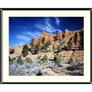  Utahs Red Canyon Photograph   Beautiful approx. 22x26 