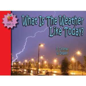 What Is the Weather Like Today?, English Reader, Set of 6  