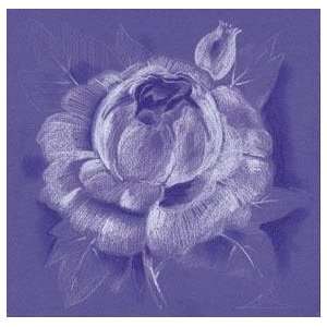  Rose Sketch On Purple Poster Print