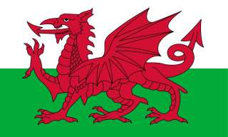   Dragon in all its glory, as it appears on the National Flag of Wales