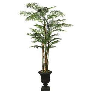  Laura Ashley Areca Palm Tree in Decorative Planter, 8 Feet 