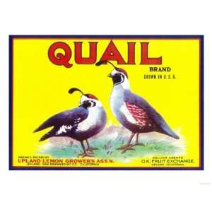  Quail Lemon Label   Upland, CA Premium Poster Print, 24x32 