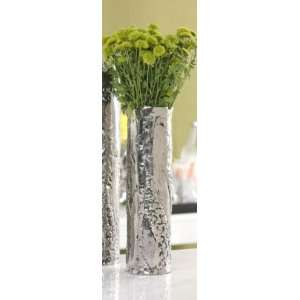  Asilah Embossed Nickel Vase   Medium (Silver) (15.5H x 4 