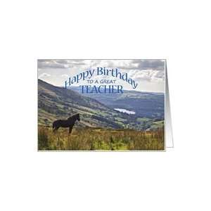  Birthday for a Teacher, a horse and a landscape Card 