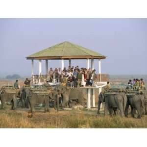  on Elephant Back Safari, Kaziranga National Park, Assam State, India 