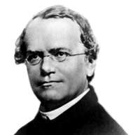 Gregor Mendel   Shopping enabled Wikipedia Page on 