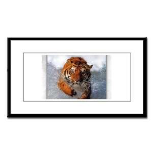  Small Framed Print Bengal Tiger in Water 