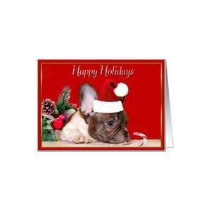  Happy Holidays French Bulldog puppy Card Health 