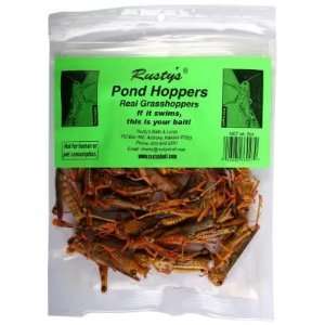  Rustys Pond Hoppers Real Grasshoppers
