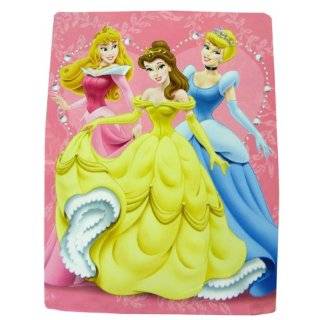 Disney Princess Twin Mink Blanket   Hearts Sparkles Royal Plush 
