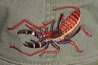 Find more Tarantula and Scorpion items here Arachnids