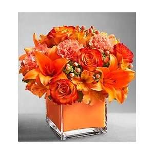 Flowers by 1800Flowers   Colors of Love   Orange   Medium  