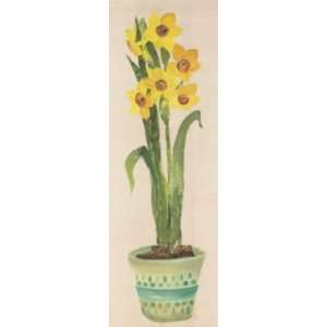  Dazzling Daffs Poster Print