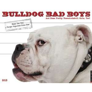  Bulldog Bad Boys 2013 Wall Calendar