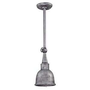 Troy Lighting FF2946 Raleigh   One Light Outdoor Small Pendant, Old 