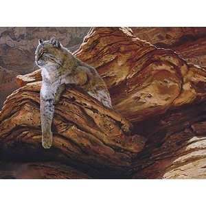  John Seerey Lester   Cliff Hanger Bobcat Artists Proof 