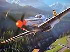 Winter Patrol Luftwaffe Me109 Gunther Rall Trudgian Ace Signed 