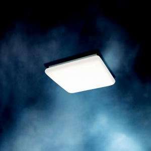   Fluorescent Fixture Group Collection lighting