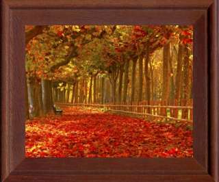 Framed Canvas Picture, Nature, Autumn, Park, Trees, Leaves  