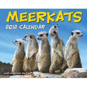  Meerkats 2012 Mini Desk Calendar