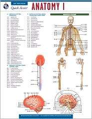   Anatomy 1, (0738607673), The Staff of REA, Textbooks   