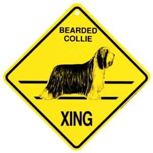  Bearded Collie Xing caution Crossing Sign dog Gift