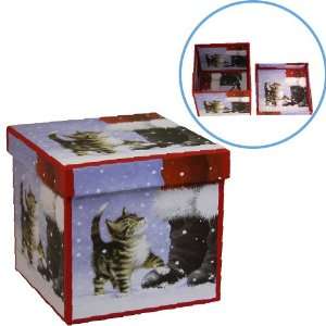  Lindy Bowman Puppies and Kittens Medium Nesting Gift Box 