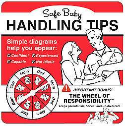 Safe Baby Handling Tips by David Sopp and Kelly Sopp 2005, Hardcover 